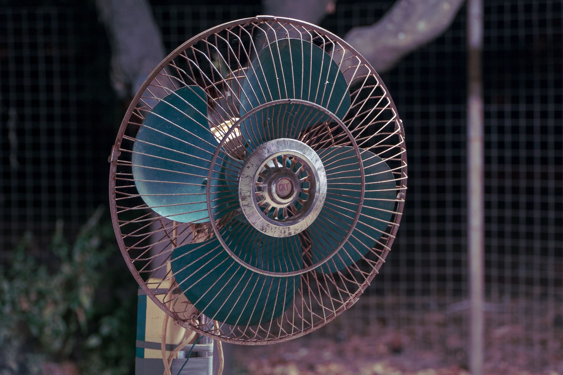 An Electric Fan